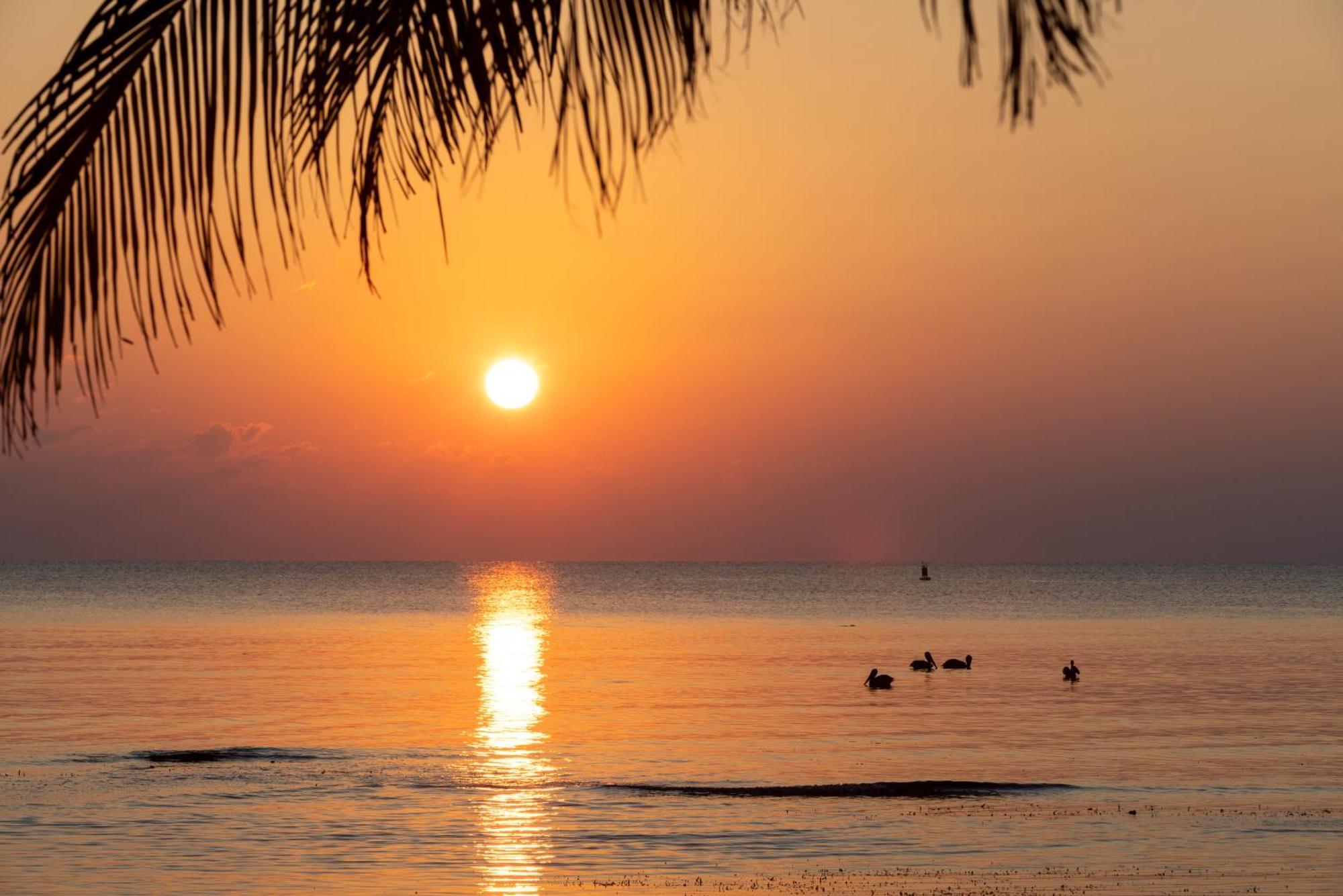 Blue Marlin Beach Resort Dangriga Buitenkant foto