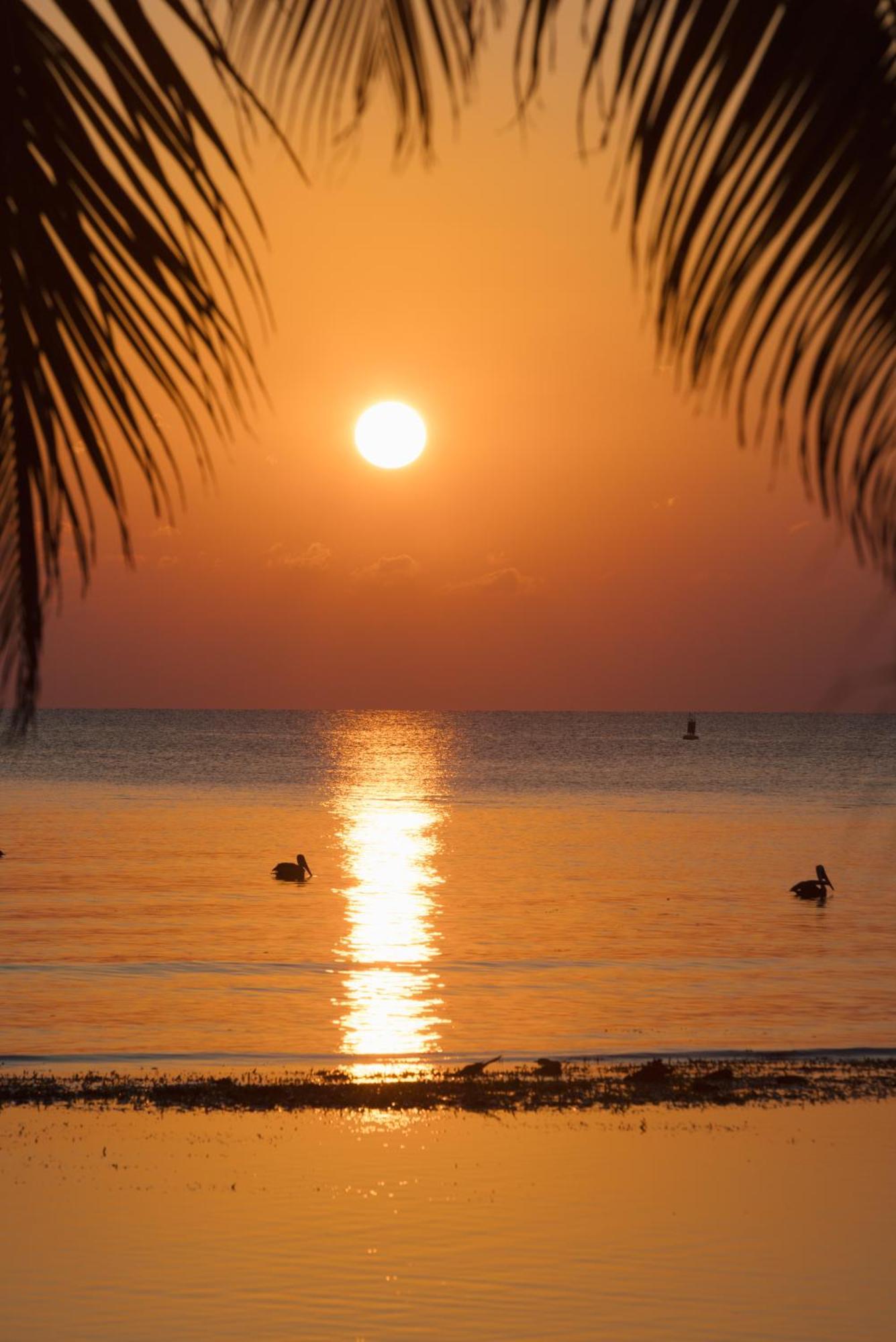 Blue Marlin Beach Resort Dangriga Buitenkant foto
