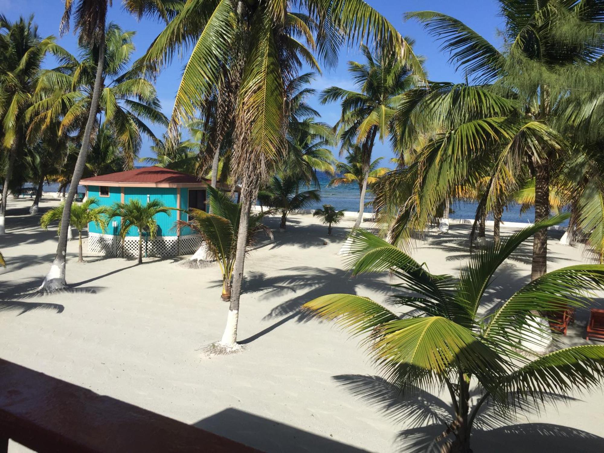 Blue Marlin Beach Resort Dangriga Buitenkant foto