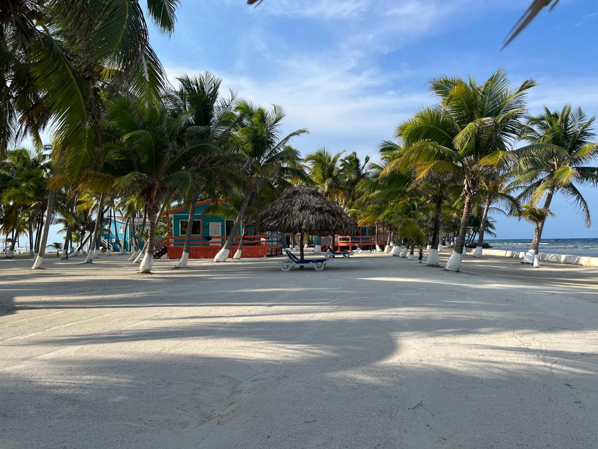 Blue Marlin Beach Resort Dangriga Buitenkant foto