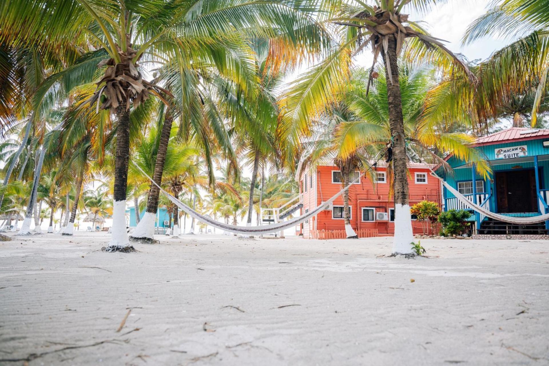 Blue Marlin Beach Resort Dangriga Buitenkant foto