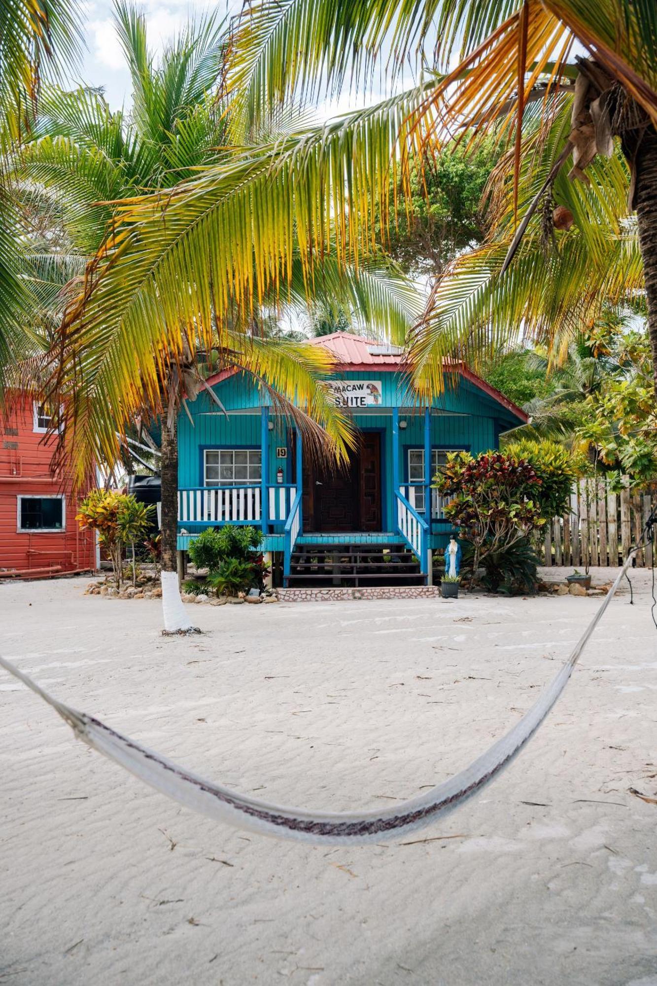 Blue Marlin Beach Resort Dangriga Buitenkant foto